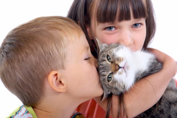 Gimcat_Nachhaltigkeit