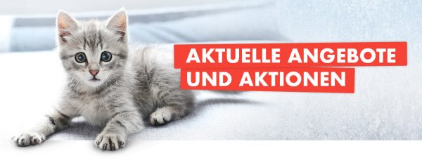 Angebote und Rabattaktionen
