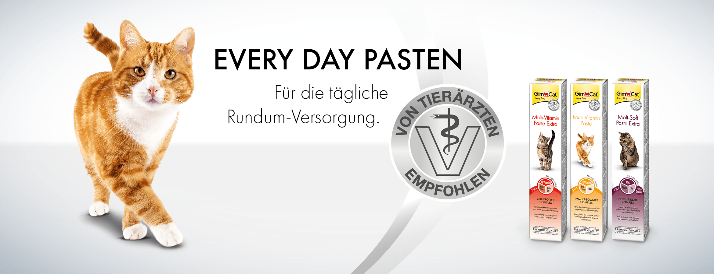 Every Day Pasten Header
