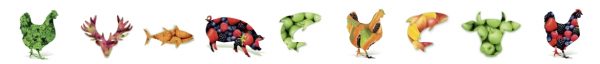 Superfood-Banner_Icons