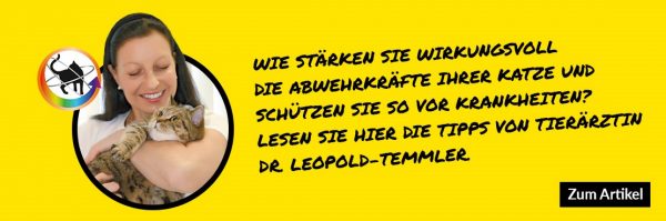 Vieren und Pilze bei Katzen