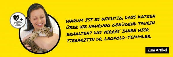 Taurin für Katzen