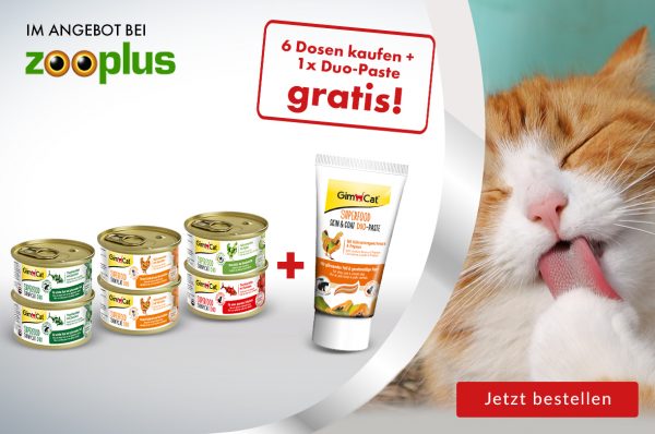 angebot-zooplus-shinyCat-