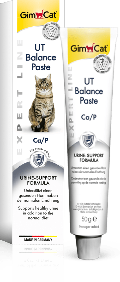 Kitten Paste