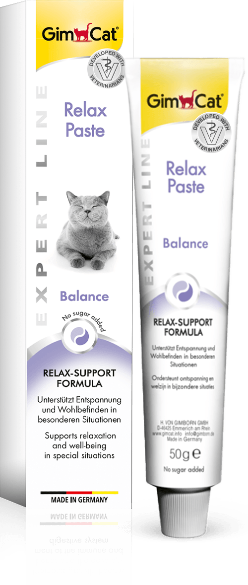 Kitten Paste