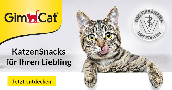 Katzensnacks für Ihren Liebling