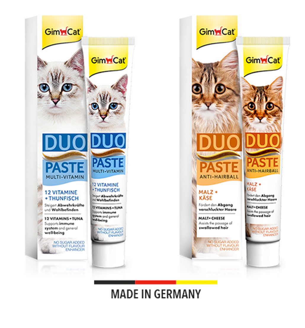 Paste Duo