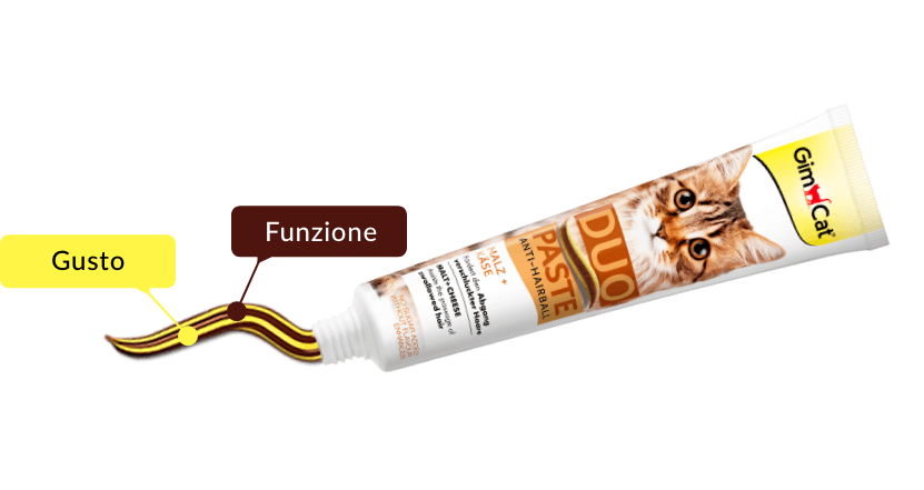 Paste Duo