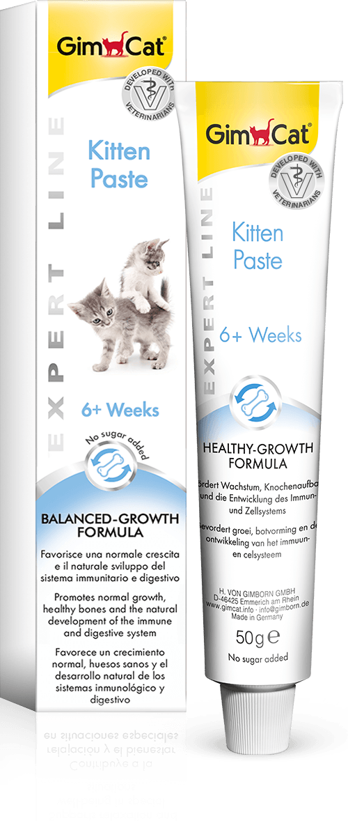 Kitten Paste