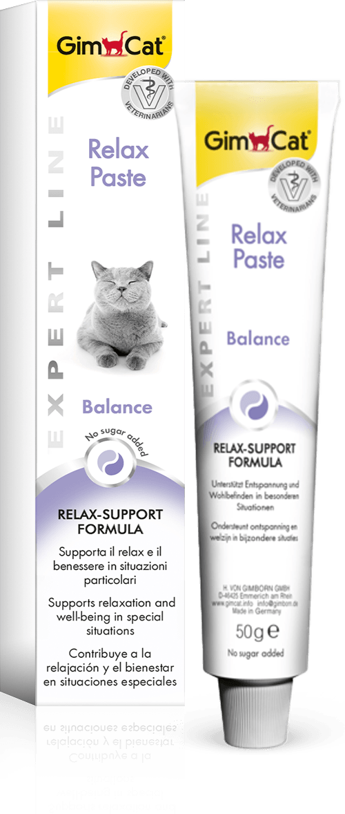 Kitten Paste